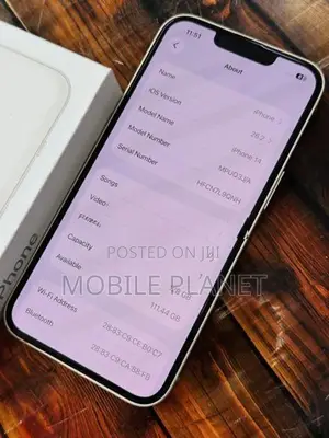 Apple iPhone 13 5G 256GB (Used)