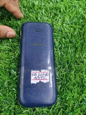 Samsung B310E (Used)