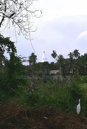 23.6-Perch Land For Sale – Tissamaharama