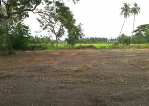 23.6-Perch Land For Sale – Tissamaharama
