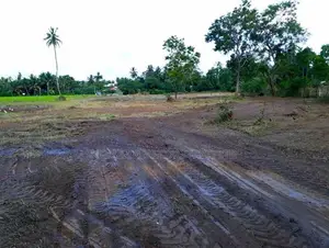 23.6-Perch Land For Sale – Tissamaharama