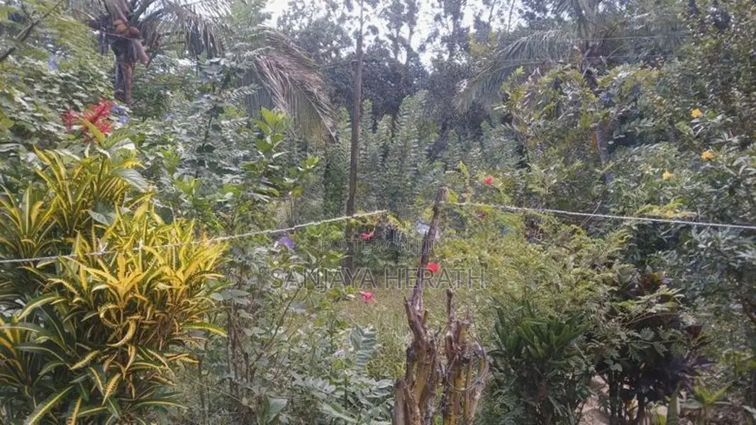 House for Sale Welimada - Medawela