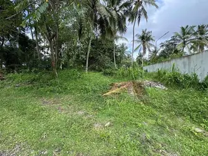 Prime 17.85 Perch Land For Sale – Udugampola In Minuwangoda