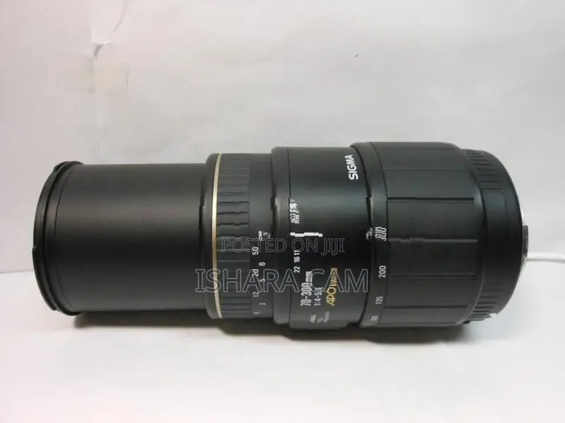 Canon 70-300 Macro DSLR Lens