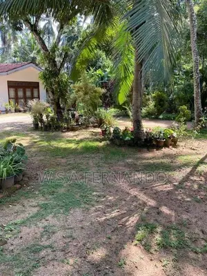 Land for Sale Minuwangoda