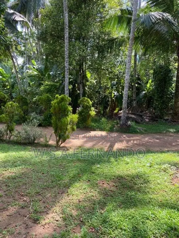 Land for Sale Minuwangoda