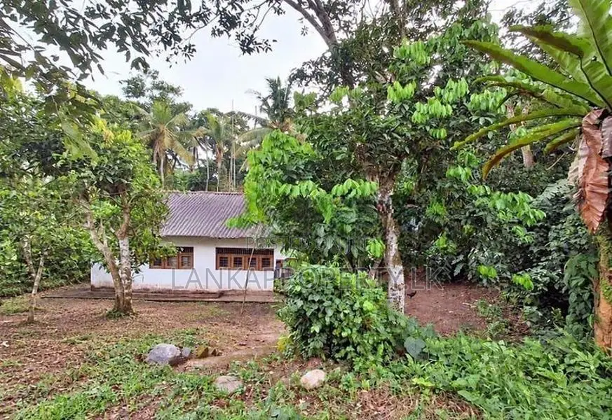 A Good Residential Land for Sale in Gonahena, Kadawatha.