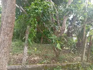 10Perch Land for Sale Seeduwa, Orchid Park