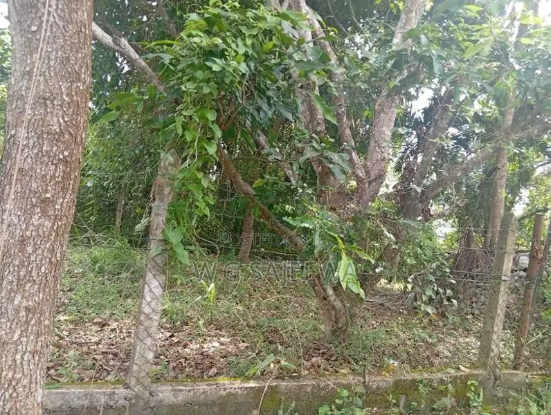 10Perch Land for Sale Seeduwa, Orchid Park