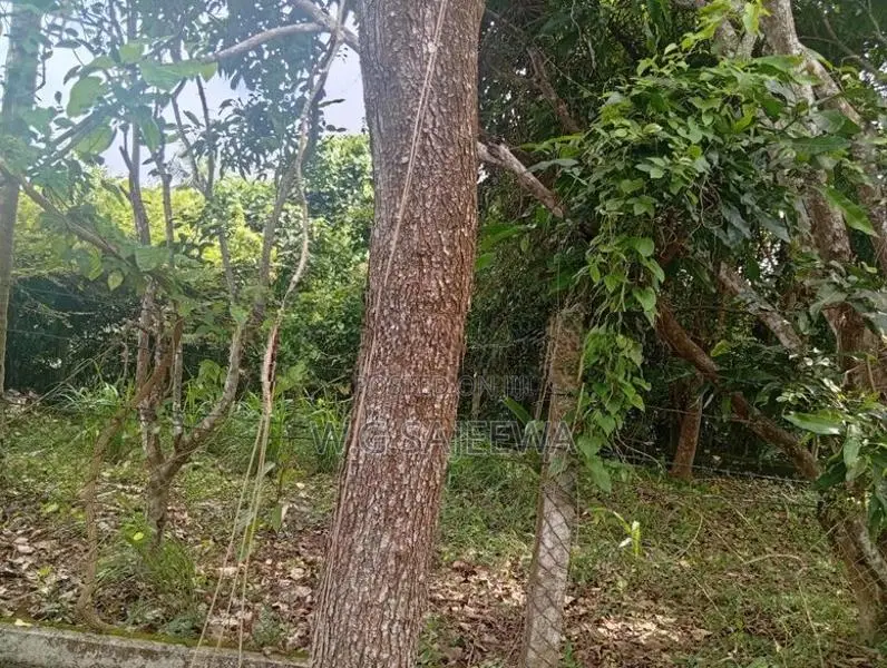 10Perch Land for Sale Seeduwa, Orchid Park
