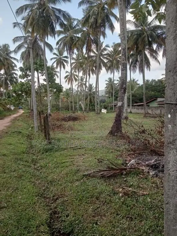 45 Perches (Or 15 X 3 Blocks) Land For Sale Kurunegala
