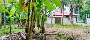 නුවර දිගන ප්‍රදේශයේ වටිනා ඉඩමක්