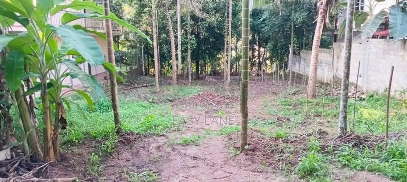 නුවර දිගන ප්‍රදේශයේ වටිනා ඉඩමක්