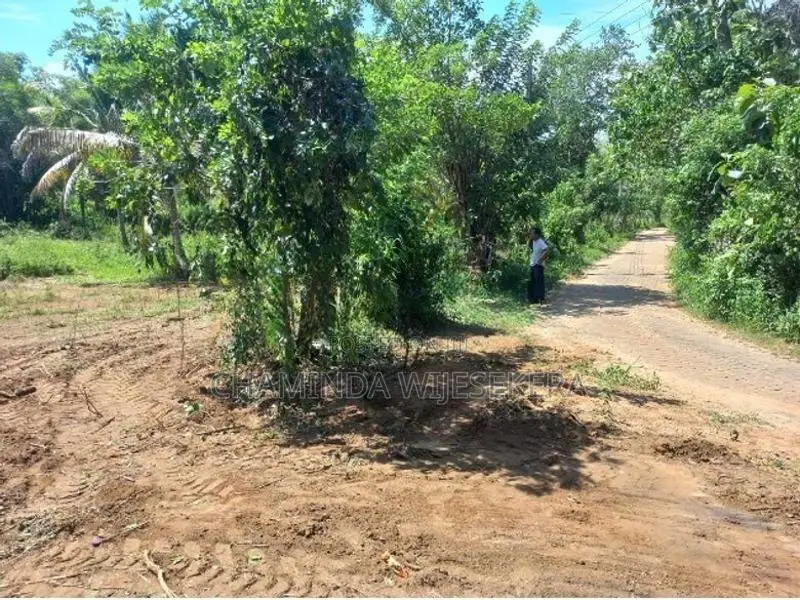 Land For Sale Tangalle Ranna Wadigala In Tangalla
