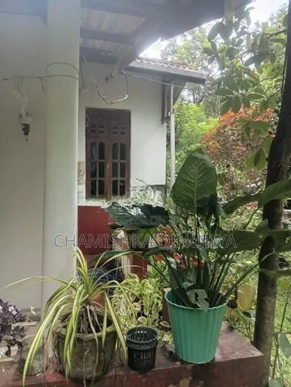 House With Land For Sale In Hasalaka Kandy