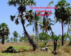 Pasikudah 3 AC Land Blocks For Tourism Near The Beach In Batticaloa
