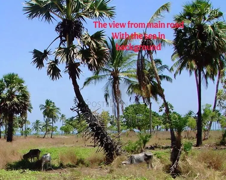 Pasikudah 3 AC Land Blocks For Tourism Near The Beach In Batticaloa