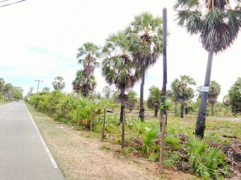 Pasikudah 3 AC Land Blocks For Tourism Near The Beach In Batticaloa