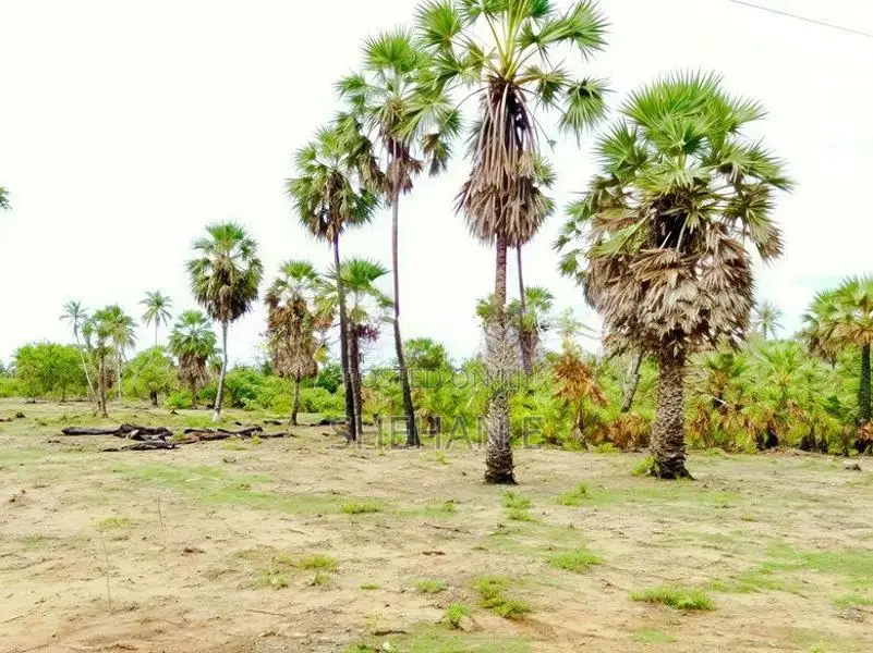 Pasikudah 3 AC Land Blocks For Tourism Near The Beach In Batticaloa