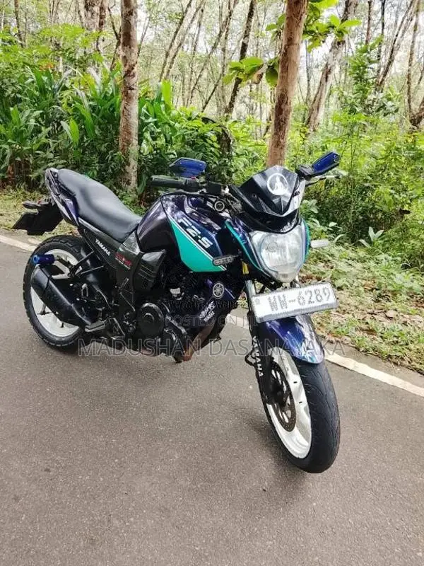 Bajaj Fz S 2011 Motorbike (Used)