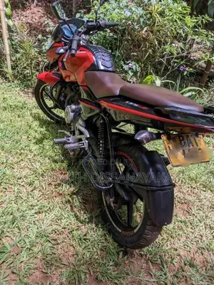 Bajaj Pulsar 135 LS 2013 Motorbike (Used)