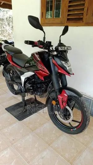 Bajaj Pulsar 125N 2025 Motorbike (Used)