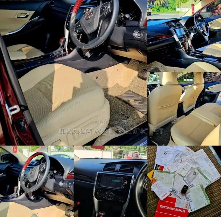 Toyota Premio NZT260 G Superior 2019 Car (Used)