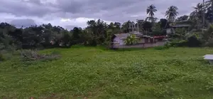 KURUNEGALA : 96P LAND WITH HOUSE FOR SALE