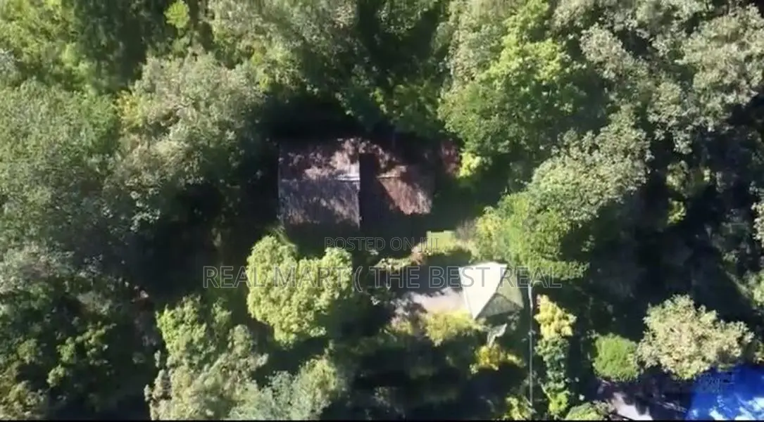 BANDARAWELA : 128P (3500 SQFT) BOUTIQUE HOTEL FOR SALE