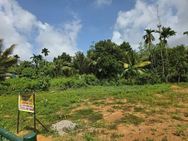 HOMAGAMA : 31.9P PRIME LAND FOR SALE