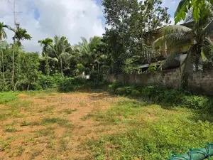 HOMAGAMA : 31.9P PRIME LAND FOR SALE