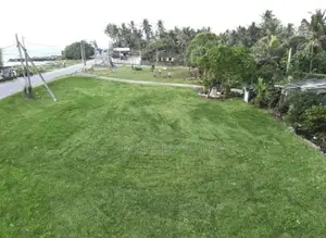 WATTALA : 83 PERCHES COMMERCIAL LAND FOR SALE