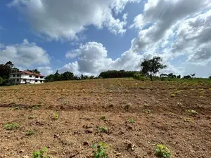 Land in Kahathuduwa, Diyakada, Halavila, Thambagangoda Rd, Kesbewa