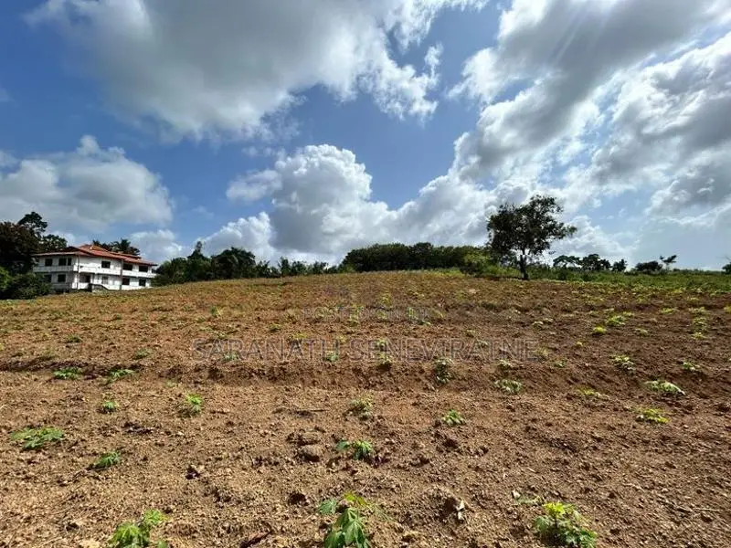 Land in Kahathuduwa, Diyakada, Halavila, Thambagangoda Rd, Kesbewa