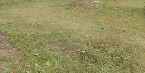 NUGEGODA : 29.9 PERCHES PRIME LAND FOR SALE