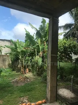 WELLAMPITIYA : 19.5 PERCHES LAND WITH TWO HOUSES FOR SALE