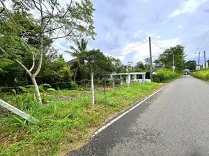 Land in Catherine Park Hokandara - Puwakgahadeniya Rd Talawathugoda
