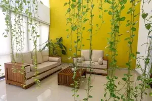 House, Villa, Hotel for rent in Katunayake
