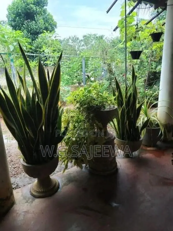 5Bedroom house for sale in wasana uyana seeduwa