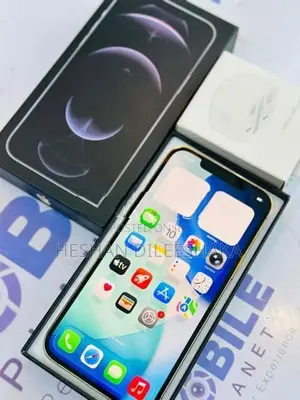 Apple iPhone 12 Pro Max 5G 256GB (Used)