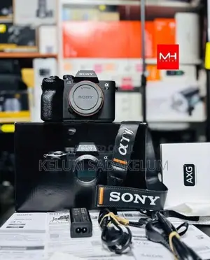 Sony Alpha a7 IV Mirrorless Digital Camera