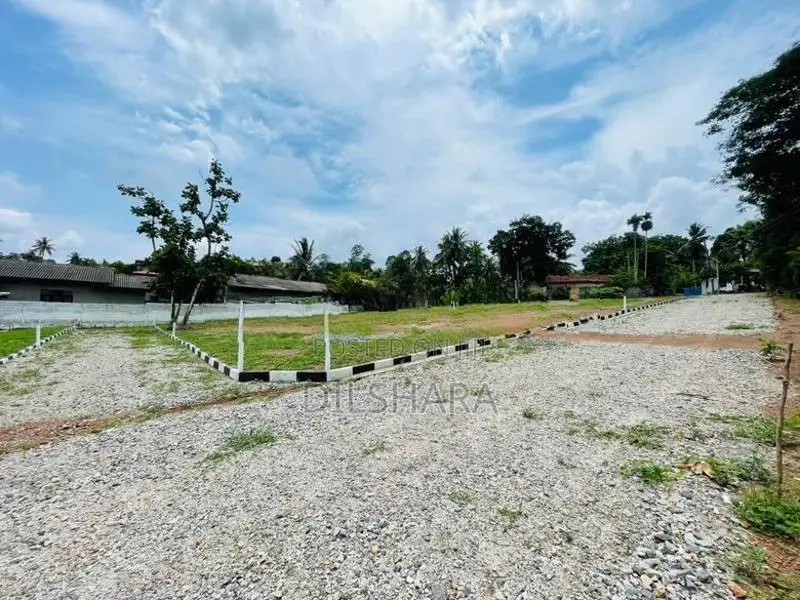 Udugampala New Land 244 busමාර්ගයට නුදුරින් නිස්කලංක බිම්කොටස් කිහිපයක