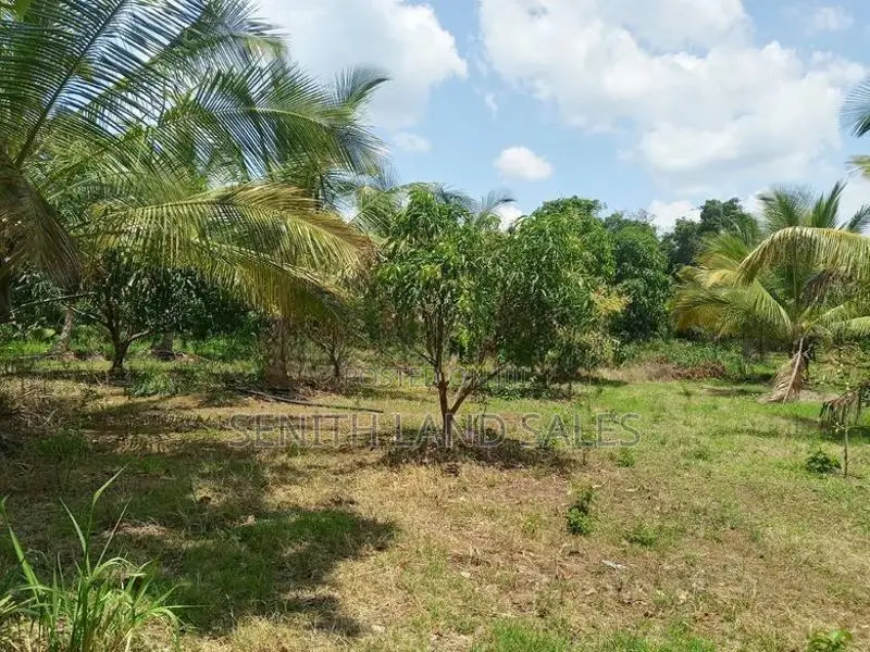 දඹුල්ල අවටින් සංවර්ධනය කරපු අක්කර 1 ව්කිණිමට ඇත