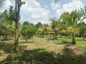 දඹුල්ල අවටින් සංවර්ධනය කරපු අක්කර 1 ව්කිණිමට ඇත