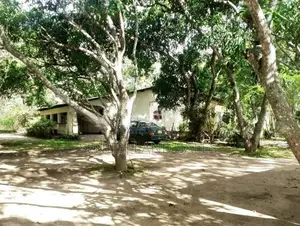 දඹුල්ල අවටින් නිවසක් සමග පර්චස් 80ක් ව්කිණිමට ඇත
