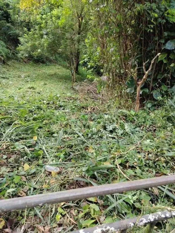 Land For Sale IN Kandy City