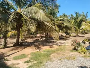 Land for Sale in Tangalle