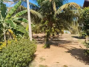 Land for Sale in Tangalle
