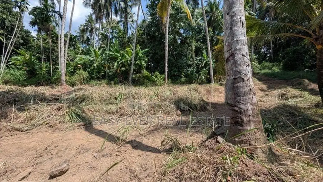 වැලිවේරිය හේනෙගම ජාතික පාසල අසල සුපිරි ඉඩමක්