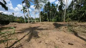 වැලිවේරිය හේනෙගම ජාතික පාසල අසල සුපිරි ඉඩමක්